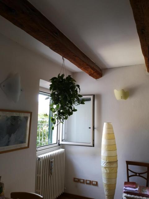 Appartamento La Rondine 佩萨罗 外观 照片